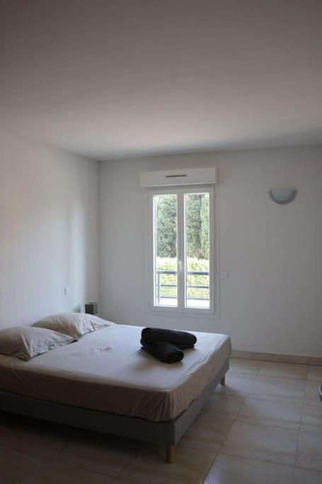 Suberbe Appartement Climatise Avec Terrasse Saint-Raphael  Bagian luar foto